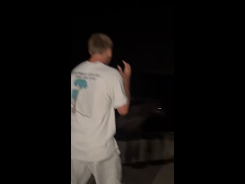 San Diego man pleads guilty to kicking protected sea lion — YouTube video thumbnail
